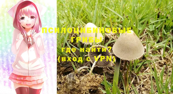 винт Алексеевка