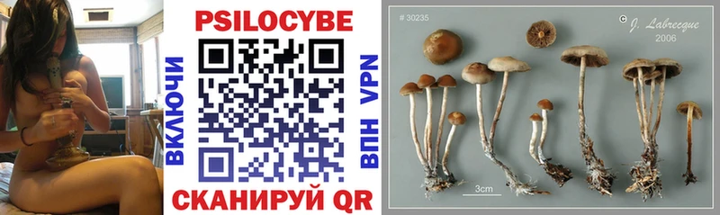 Псилоцибиновые грибы Cubensis  Добрянка 