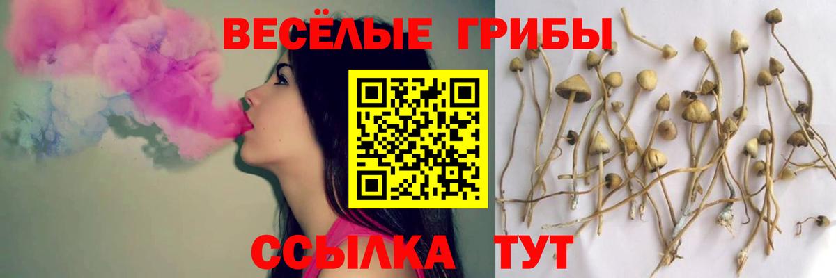 Псилоцибиновые грибы ЛСД Добрянка